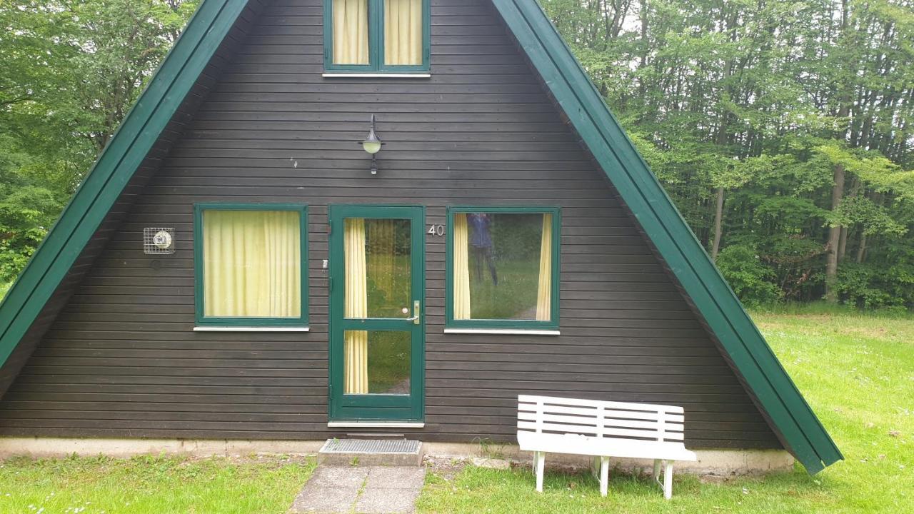 Ferienhaus Nr. 40 Im Ferienpark Am Twistesee 바트아롤젠 외부 사진